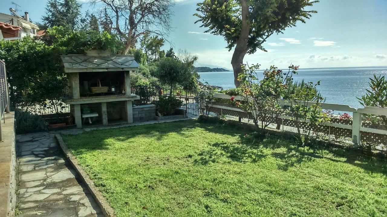 Palio Beach House PalaiónTsiflíkion Εξωτερικό φωτογραφία